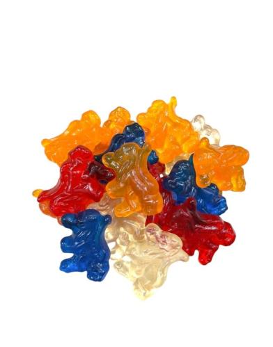 Matthijs Holländska Lejon 1kg