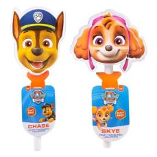 Paw Patrol Fun Lollipop 80g x 24st